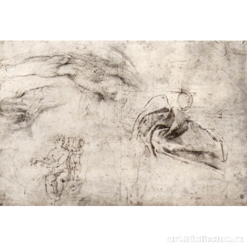 Этюды к росписи свода Сикстинской капеллы