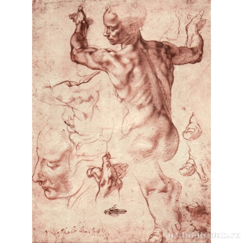 Этюды к росписи свода Сикстинской капеллы: Ливийская сивилла