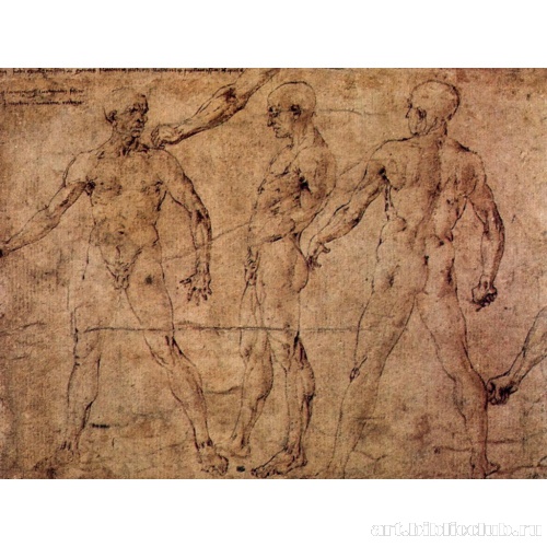 Зарисовки стоящего обнаженного мужчины с трех точек зрения, два наброска руки