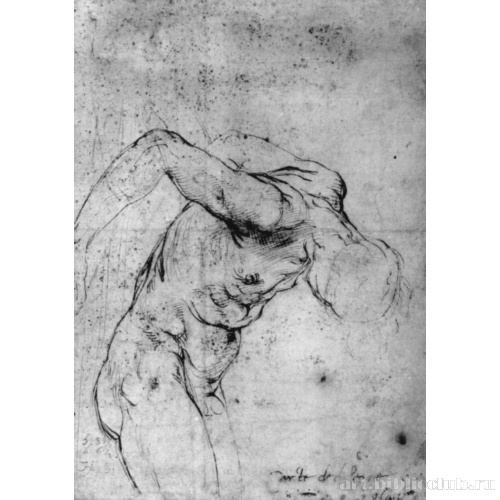 Обнаженный повешенный