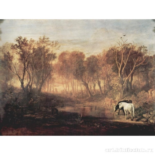 Лес в Бере