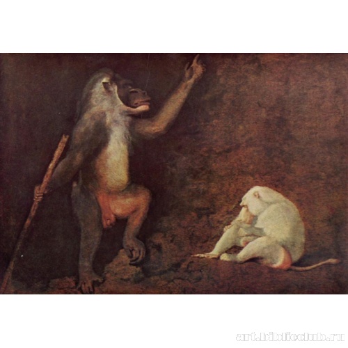 Павиан и макака-альбинос