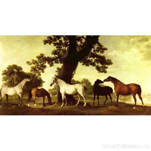 Кони на фоне пейзажа