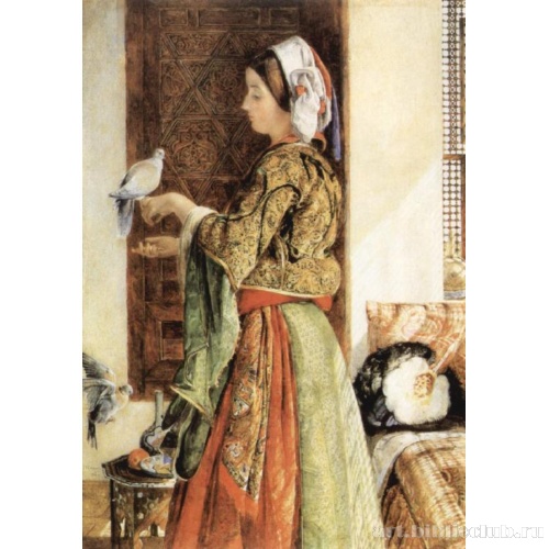 Пойманный голубь, Каир