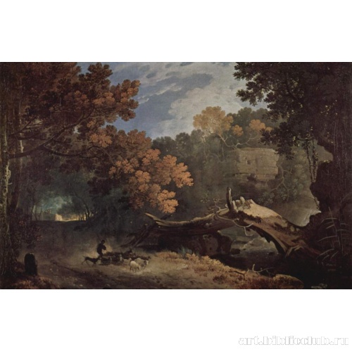 Аричча. Поваленное дерево