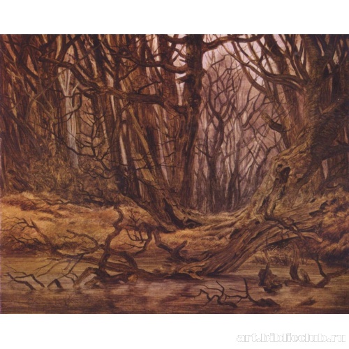 В лесу, поздняя осень