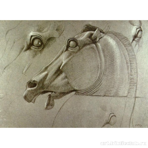 Голова коня Селены