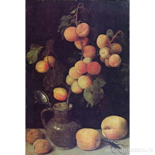 Ветка с плодами персика