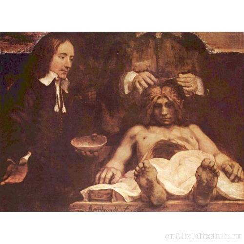 Лекция по анатомии доктора Деймана. Фрагмент