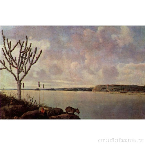 Река Сан-Франциско