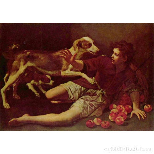 Рассыпавшиеся яблоки