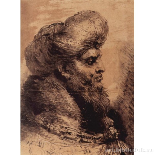 Голова бородатого жителя Востока