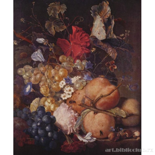 Плоды, цветы и насекомые