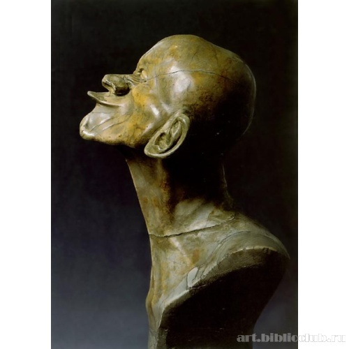 Четыре «головы-характера». Утконосый