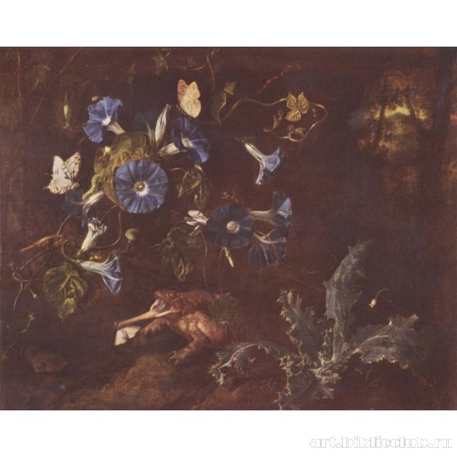 Голубые вьюнки, жаба и насекомые