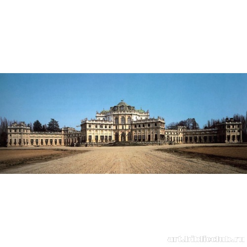 Замок Ступиниджи. Внешний вид