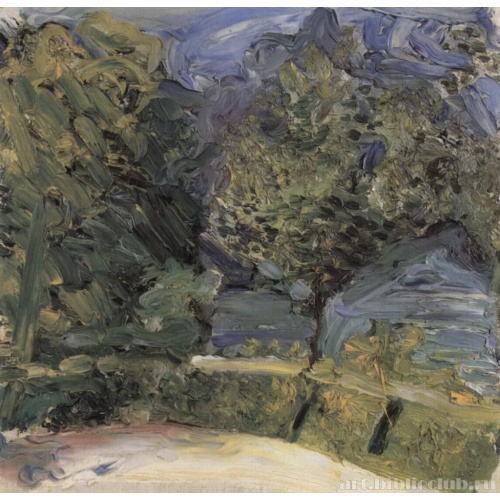 Береговая улочка