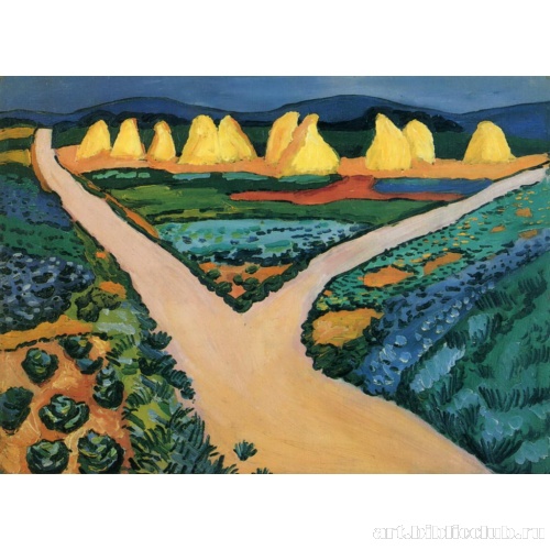 Овощные поля