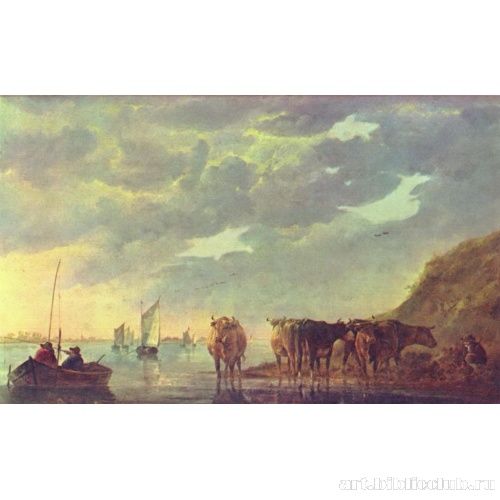 Коровы у реки