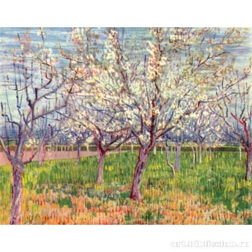 Фруктовый сад в цвету