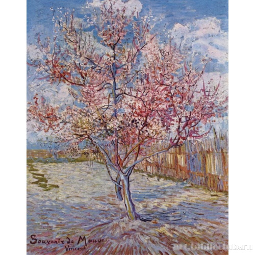 Воспоминание о Мауве