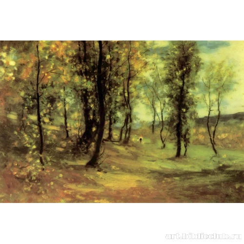 Свет в лесу