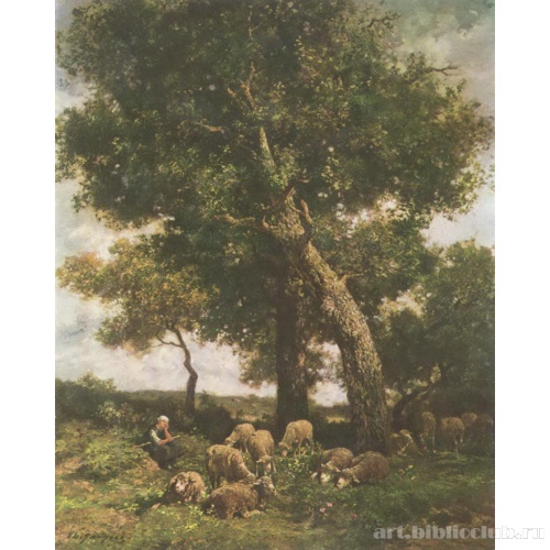 На пастбище