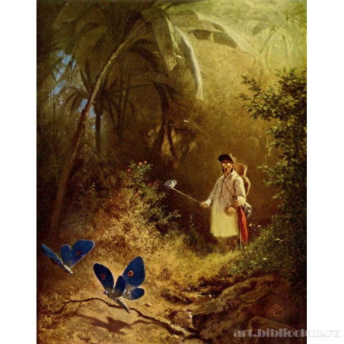 Ловец бабочек