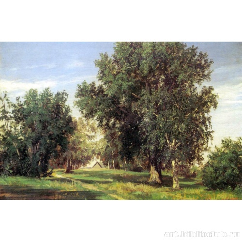 Лесная поляна