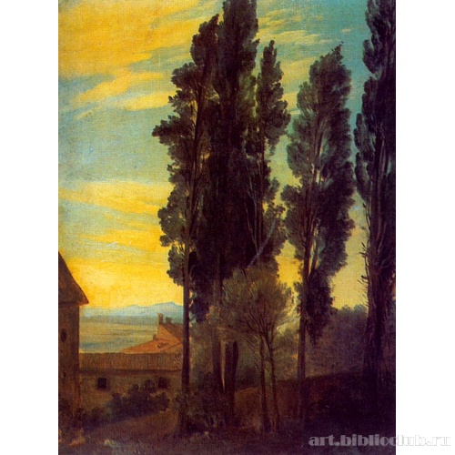 Пирамидальные тополя