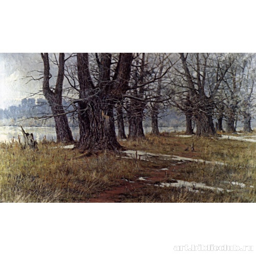 Последний снег. Осокори