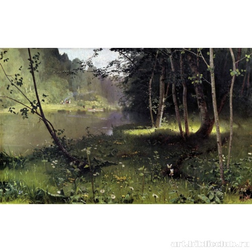 Лесная река