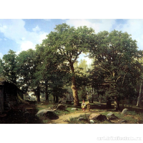 Дубовый лес в окрестностях Ревеля