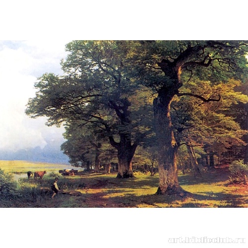 Полдень в лесу