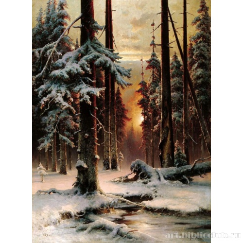 Зимний закат в еловом лесу