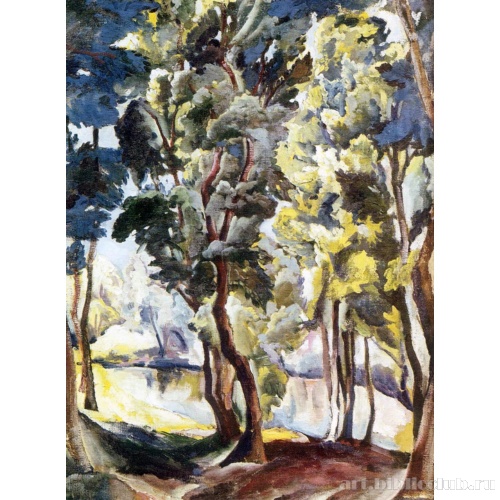 Пруд среди деревьев. Корольковские дачи