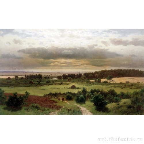 Лесные дали