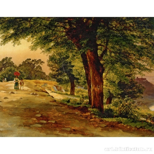 В парке Киджи