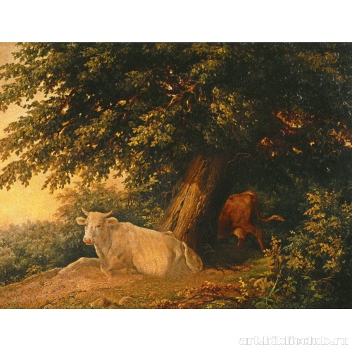 Пейзаж с коровами