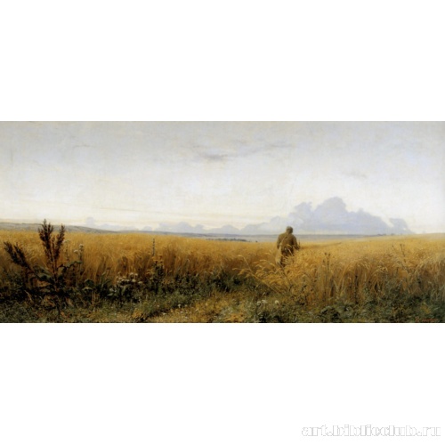 Дорога во ржи