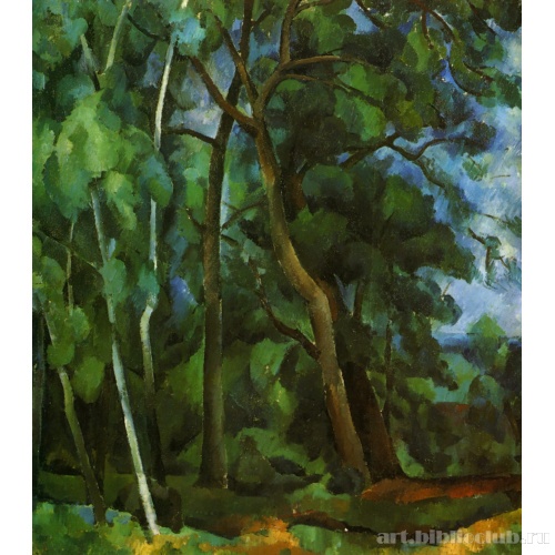 Лес в Кунцеве