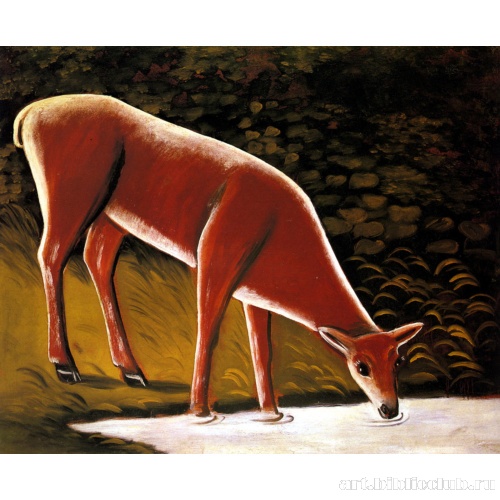 Косуля у ручья