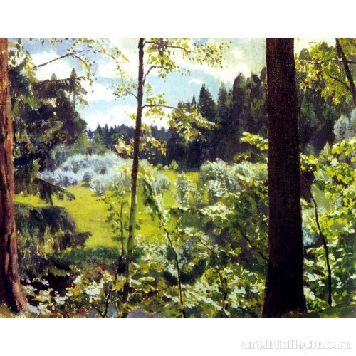 Зеленое кружево