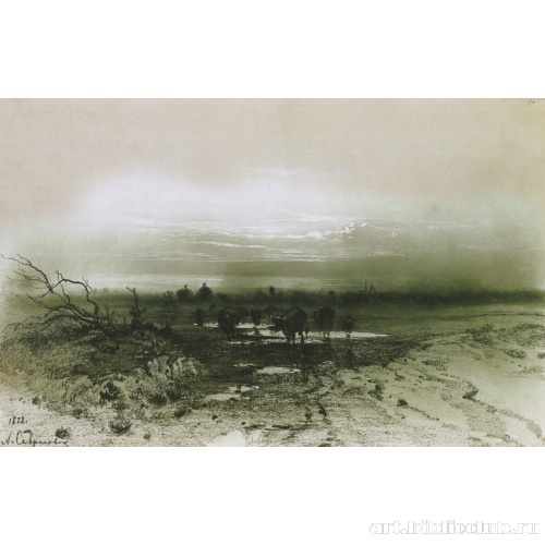 Болото вечером