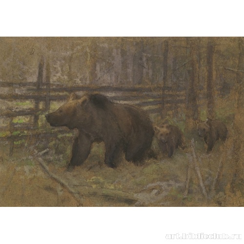 Медведица с медвежатами