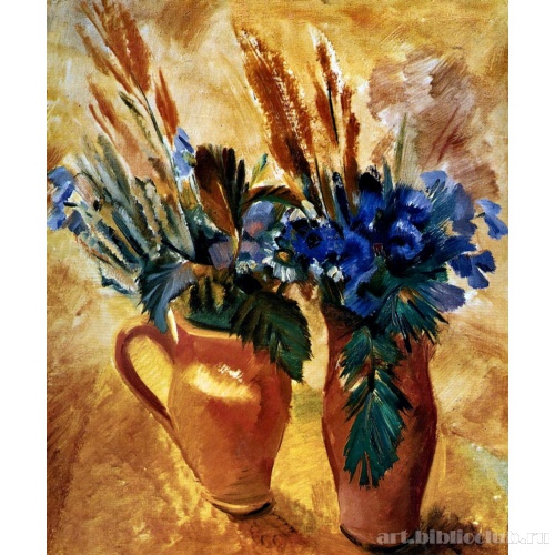 Два горшка с цветами