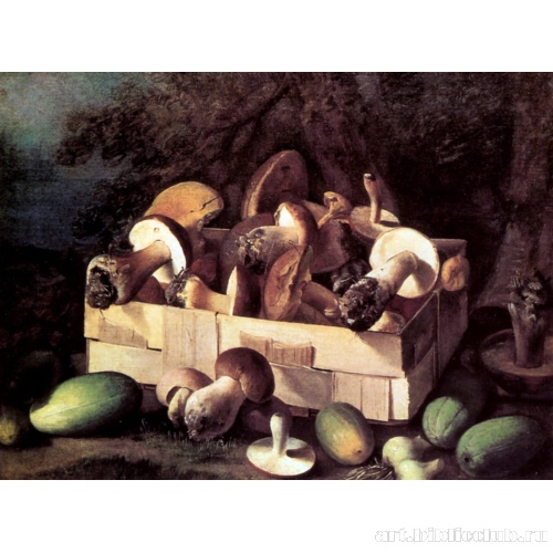 Натюрморт с грибами