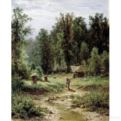 Пасека в лесу