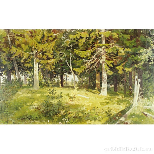 Поляна в лесу