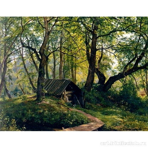 Старые липы